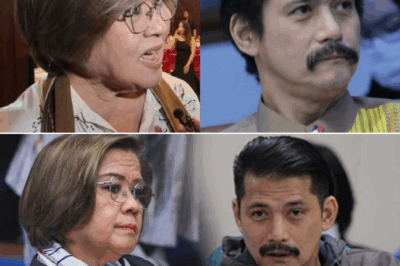 LEILA DE LIMA, sa gitna ng katahimikan, ISINIWALAT ANG ISANG MADILIM NA ALAALA na nauugnay sa pagbaba ng age of responsibility.