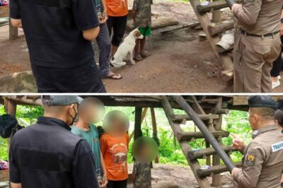 Si Boy ay nakatira kasama ang 6 na aso, hindi marunong magsalita ng wika ng tao – ang alam lang kung paano ‘kumakahol’ para makipag-usap: Ang nakagigimbal na misteryo ay nagpilit pa sa mga awtoridad na mag-imbestiga!