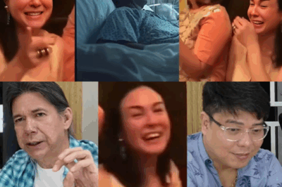 Did Gretchen Barretto Really Mock a Suffering Fan Asking for Help?