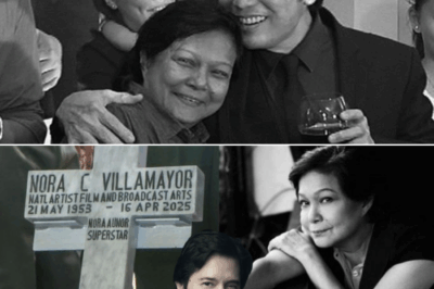 ISANG LIHIM na itinago nang matagal! Sa loob ng maraming taon, may tinatagong KATOTOHANAN si Nora Aunor