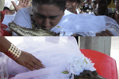Why a Mexican Mayor Marries a Reptile Every Year: The 230-Year Tradition Explained