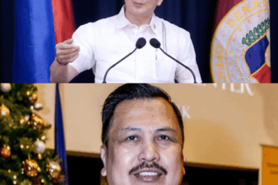 Court Ruling Exposes Scandal Behind Filipino Concert Producer’s Broken Promises