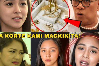 KIM CHIU SHARES FULL DETAILS OF BREAK-IN: HOW MUCH WAS REALLY TAKEN?