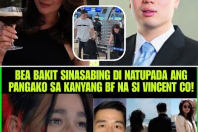 Nakakagimbal na Rebelasyon: Sa Gitna ng Paglalakbay Abroad, Nabunyag ang Pangakong Hindi Natupad ni Bea kay Billionaire Vicent Co Na Naging Sanhi ng Matinding Katahimikan