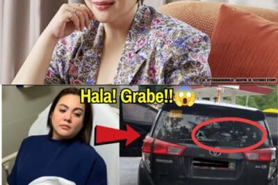 Car Used by Claudine Barretto Targeted in Shooting Incident: Comprehensive Coverage and Context (NH)
