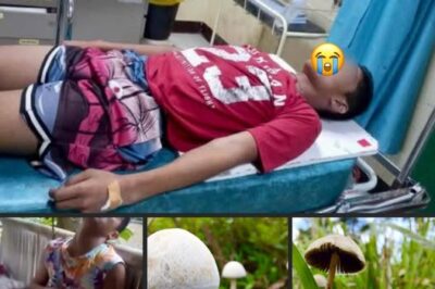 Shocking! Bata sa Zamboanga del Norte, Nabaliw at Namatay dahil sa Kabuteng Lumago Malapit sa Dumi ng Hayop
