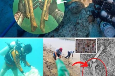Sobrang Nakakabigla! Buto ng Nawawalang Sabungeros, Natagpuan sa Ilalim ng Taal Lake — Forensic DNA Testing Inilunsad