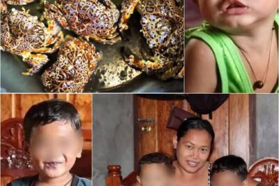 Isang Pirasong Alimango ang Kumitil sa Dalawang Bata — At Nag-iwan ng Ama sa Coma