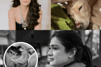 Tears and Outrage: Carla Abellana Speaks Out on Brutal Dog Killing