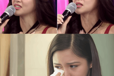 The Full Truth About Kim Chiu’s Alleged Stair Incident – What Really Happened?