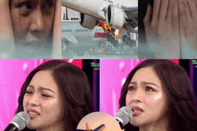 Caught on Cam: What Really Happened to Kim Chiu Inside the Plane After Scare