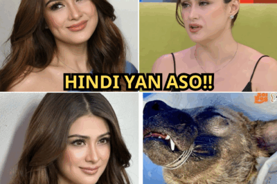 Hindi ito kwento ng hayop—kundi ng pagkatao! Carla Abellana, hindi napigilang maiyak matapos malaman ang sinapit ng asong ibinenta sa halagang ₱500 para patayin at gawing pulutan