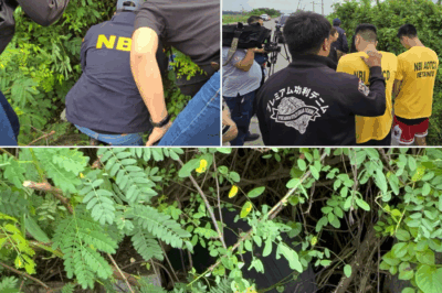 Nawawala mula Mayo 18—ILANG ARAW ANG LUMIPAS, ISANG PAGKATAGPO ANG IKINAGULAT NG LAHAT!