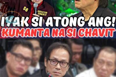 Power, Allegiances, and Secrets? A Deep Dive into the Longstanding Rift Between Atong Ang and Chavit Singson (NH)