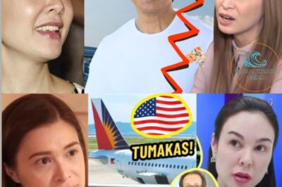 Gretchen Barretto and Sunshine Cruz Allegedly Plan to Relocate to America Amidst Controversy Involving 40 Cockfighters — What We Know So Far (NH)
