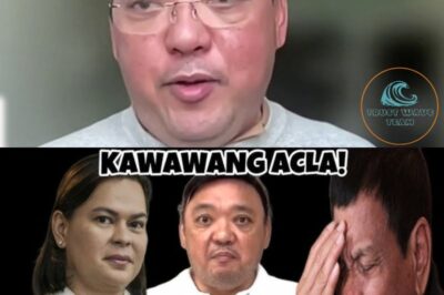 Is Harry Roque Really Upset with the Dutertes, Disappointed in Their Actions and Threatening Jail Time? Here’s the Full Story Behind the Viral Claim (NH)