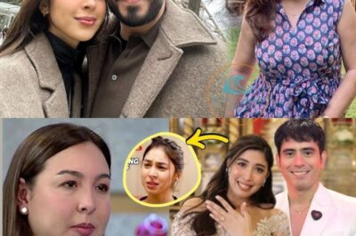 Marjorie Barretto Speaks Out: Addressing Julia Barretto’s Pain and the Struggles Behind Her Relationship With Gerald Anderson (NH)