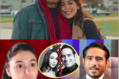 Claudia Barretto Speaks Out? Clearing the Air About Julia Barretto and Gerald Anderson’s Rumored Breakup (NH)