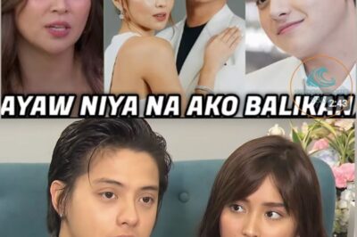 Kathryn Bernardo Pursued Daniel Padilla to Rekindle Their Relationship, But He Declined: The Full Story Behind the Rumors (nh)