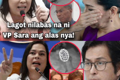 SUMABOG NA! SARA DUTERTE NILANTAD ang EBIDENSYANG MAGPAPABAGSAK kina DAN FERNANDEZ at IVANA ALAWI — “WALA NANG TAKASAN!”