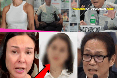 GRETCHEN BARRETTO NAGSALITA NA! IBINULGAR ANG KASABWAT SA LIKOD NG PAGKAWALA NG MGA SABUNGERO: “Hindi na ako mananahimik!”