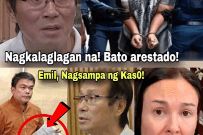 EXCLUSIVE: Emil Sumangil Nagsampa ng Malakihang Reklamo Laban kina Atong Ang at Gretchen Barretto – BBM, Nagalit Matapos Makarating ang Impormasyon sa Malacañang