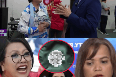 PRINCESS ABANTE, NATAMEME sa NILABAS na EBIDENSYA ni JINKY LUISTRO! – PUKSAAN MALALA sa SENADO!