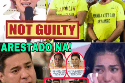 VIC SOTTO AT JOEY DE LEON, DINAMPOT NG NBI! AGA MUHLACH, NAGSAMPA NG KASO — SHOWBIZ O KRIMEN NA ITO?