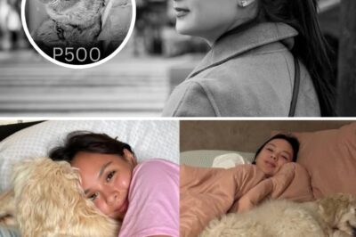 Horror in the Philippines: Beloved Dog Butchered for ₱500—What Carla Abellana Said After Seeing the Cruelty Will Break Your Heart 💔