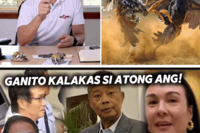 Judge Exposed as Accomplice? Inside the Chilling Allegations Against Atong Ang That Could Shake the Nation