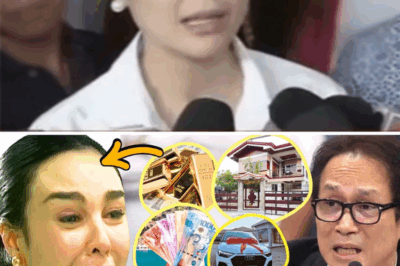 Gretchen Barretto Forced to Sell Properties After Alleged Fallout with Atong Ang Amid Ongoing Case – The Real Reason Behind It Will Leave You Stunned