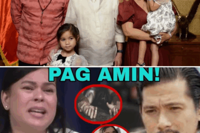 BAGONG BUHAY-NAKAKAGULANTANG PAGBUBUNYAG: Sarah Duterte Detalyadong Inilahad ang “Encounter” kay Robin Padilla — Emosyonal na Tinig, Buong Bansa Nahimbing sa Overload ng Damdamin!
