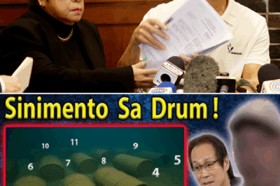Atong Ang, Nagbunyag ng Bangkay na Binuhusan ng Semento at Inihulog sa Dagat—Nagbunsod ng Takot at Pag-aalangan sa Senado