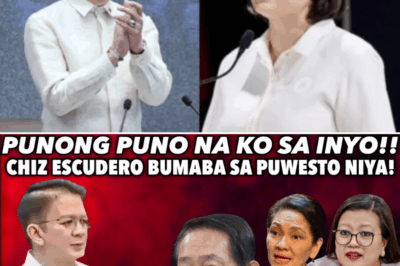 Chiz Escudero Nagbitiw dahil sa Eskandalong Nagbubuga ng Apoy, Senado Nasasabog — Sino ang Susunod na Susugatan?