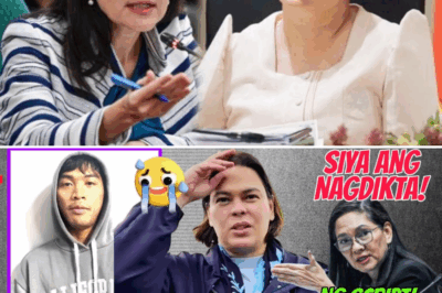Sara, Inakusahan ni Sen. Risa sa Isang Malalim at Nakakagulat na Kaso Kaugnay kay Alyas Rene