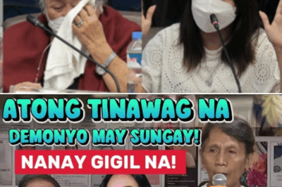 Tumayo ang Balahibo! Matapang na Pahayag ni Nanay Kay Atong, Hindi Inaasahan ng Lahat