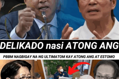 PBBM Biglaang Nag-utos na Panagutin sina Atong Ang at Gen Estomo sa Nawawalang Sabungero, Komunidad Nagulat