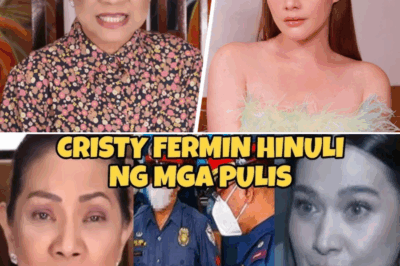 Bea Alonzo, Pinaniniwalaang Sanhi ng Pagkakakulong ni Cristy Fermin, Nagdulot ng Malawakang Intriga sa Showbiz