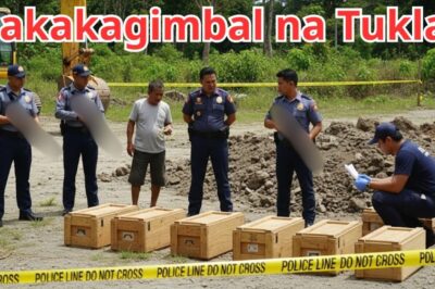 LIMANG METRO SA ILALIM NG TUBIG: ANG LIHIM SA LAWA NG ALITAPTAP