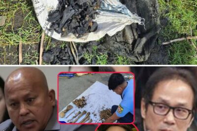 Breathtaking Breakthrough in Sabungero Disappearance: Charred Remains Pulled from Taal Lake – Are We Finally Confronting a Mass Murder?