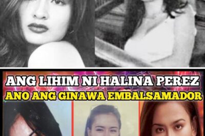 The Secret of Halina Perez: What the Embalmer Allegedly Did That Left Everyone Speechless