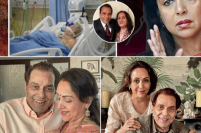 Dharmendra’s Struggle and Solitude: How Hema Malini Became His Lifeline in Dark Times