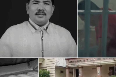 Matapos ang ilang putok ng baril, tuluyang bumagsak si Vice Mayor Julio Estolloso ng Ibajay, Aklan sa kamay