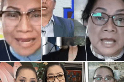 UMALINGAWNGAW ANG KATOTOHANAN! Sa mismong harap ng hukom, napaluha si Cristy Fermin habang isinasalaysay