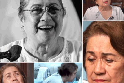 WALANG NAKAKAALAM DITO: Sa likod ng mga ngiti ni Nova Villa sa telebisyon, may mabigat pala siyang pinapasan.