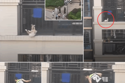 Hindi alintana ang panganib—isang kapitbahay ang sumuong sa matinding taas para iligtas ang batang nakabitin sa 7th-floor