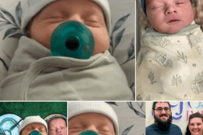 Nakagugulat! Isinilang ang isang sanggol mula sa isang embryo na nakaimbak sa lamig sa loob ng tatlong dekada — mula pa noong 1994