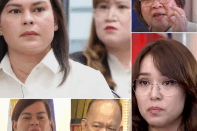 Hindi ito simpleng desisyon—kundi ISANG PAGPAPASABOG SA TANGLAW NG HUSTISYA. Maraming bumatikos sa desisyon