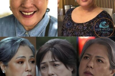 Gina Alajar Opens Up: Struggles with Methamphetamine Use That Left Her Near Insanity After Staying Awake for Days (NH)