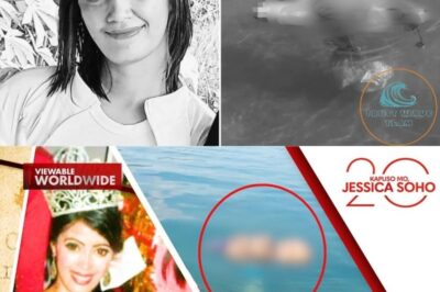 Former Beauty Queen Reported Missing, Later Found Adrift at Sea: A Nation Seeks Clarity (NH)